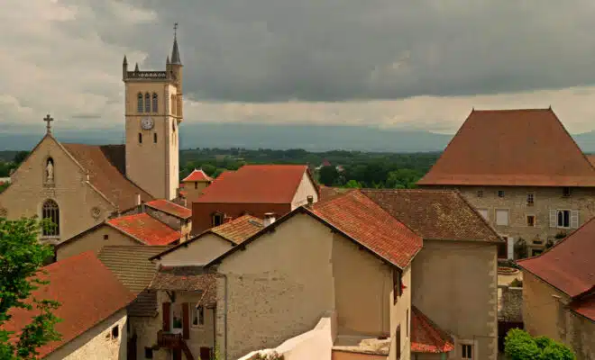 Le démoussage de toiture : un guide complet pour l'entretien et la durabilité !